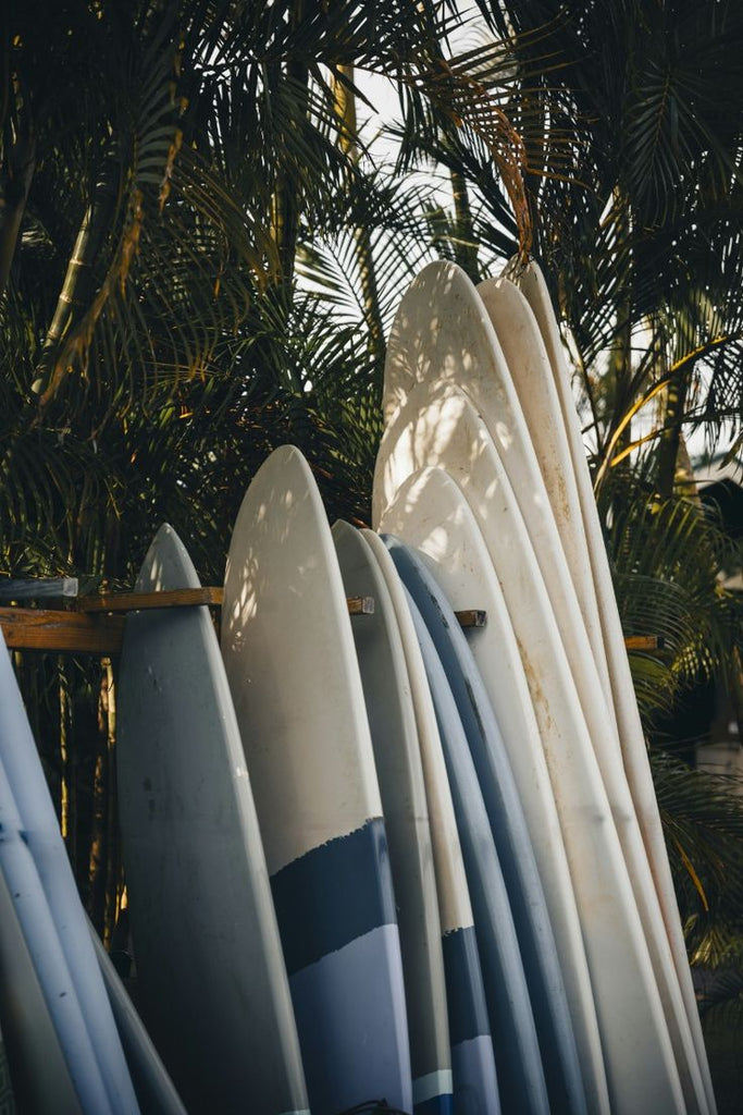 Let’s move your board: The hot surf places of 2025 - AYA Label